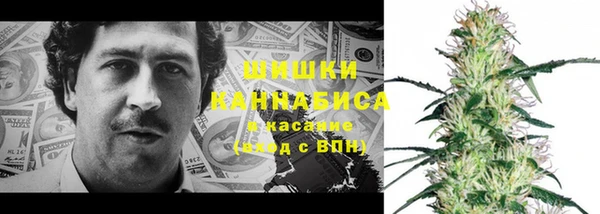 бошки Нея