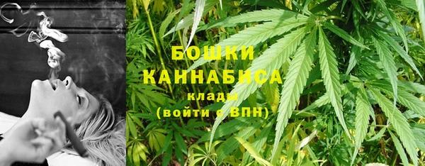 бошки Нея