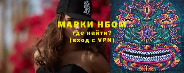 прущие грибы Нефтегорск