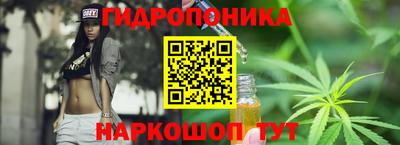 прущие крисы Бийск