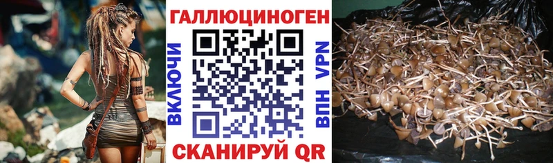 Псилоцибиновые грибы прущие грибы  Биробиджан 