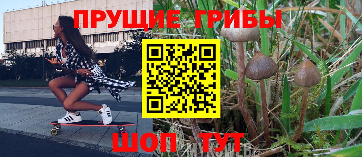 Псилоцибиновые грибы мухоморы  Биробиджан 