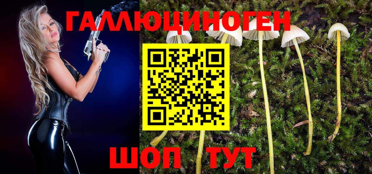 Псилоцибиновые грибы прущие грибы Биробиджан